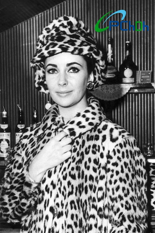 leopard print